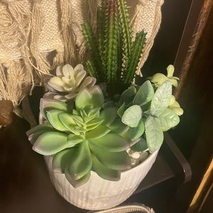Homegoods faux succulent in ceramic pot
